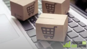 Do zero ao sucesso: Guia completo para começar no dropshipping