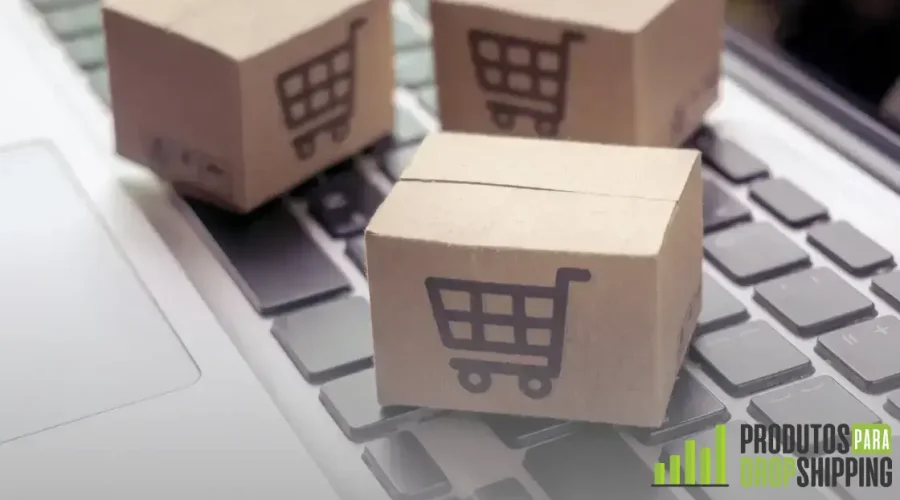 Do zero ao sucesso: Guia completo para começar no dropshipping