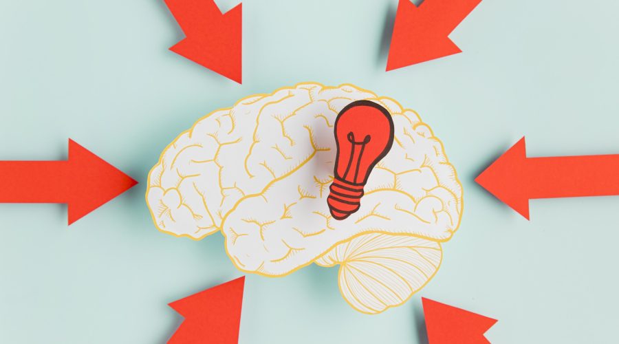 paper-brain-with-arrows-pointing (1)